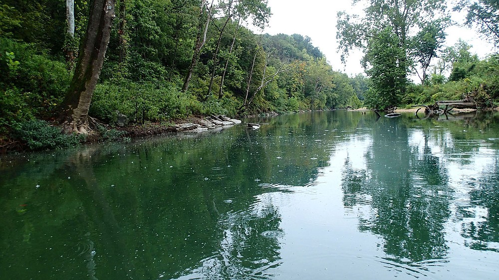 Rain pelts the quiet Elk River on Sept. 11 2020 near Pineville, Mo.
(NWA Democrat-Gazette/Flip Putthoff)