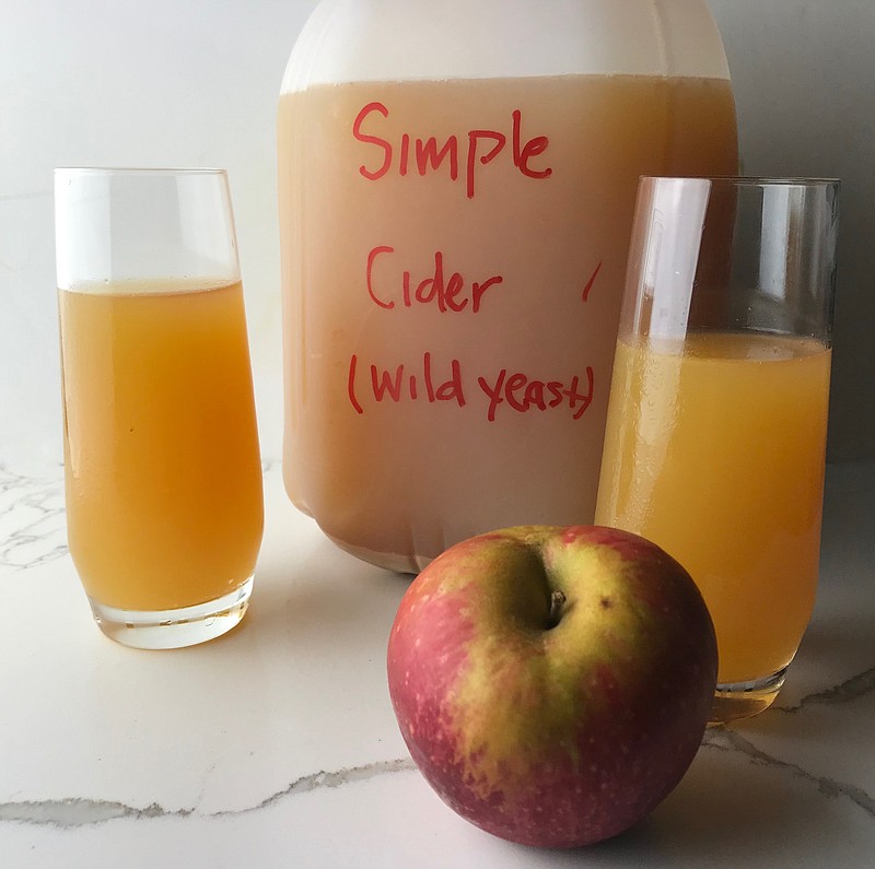 Simple Sparkling Cider — After about three weeks my cider was slightly effervescent and beginning to taste a little boozy with a slightly sweet, apple-y flavor. (Arkansas Democrat-Gazette/Kelly Brant)