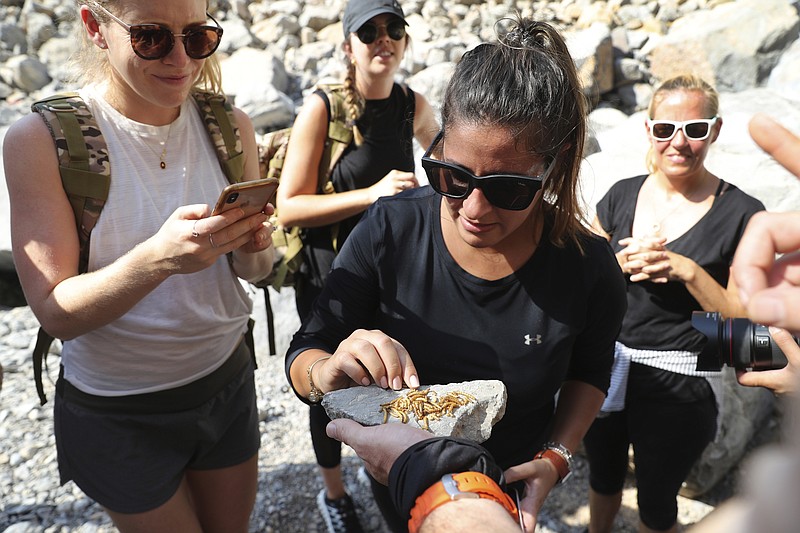 Guests try to eat worms during a survival trial at the Jebel Jais, about 30 kms north east of Ras al-Khaimah, United Arab Emirates, Thursday, Oct. 8, 2020.  The northern-most sheikhdom in the United Arab Emirates hopes a new program showcasing its wide-open spaces, fresh air and socially distanced mountain peaks can aid in reviving its tourist industry amid the coronavirus pandemic.  (AP Photo/Kamran Jebreili)