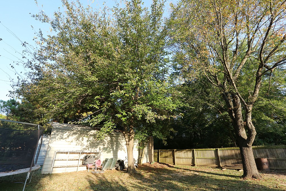 A section of Karen Hill's backyard near the intersection of Angela Street and W. Emma Avenue Wednesday, October 7, 2020, that will be impacted by presented plans to extend Har-Ber Avenue east over I-49 to match up with Emma Avenue at Gutensohn Road in Springdale. Check out nwadg.com/photos for a photo gallery.(NWA Democrat-Gazette/David Gottschalk)