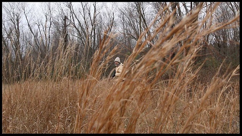 Constrained by depending on public transportation, “Mike the birdman” visits the same habitats over and over, which gives him a unique perspective on birds that live in or pass through Fayetteville.

(Courtesy Photo/John Burcham Erwin)