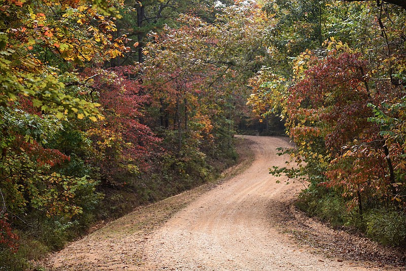 Back-country roads, such as this one at Hobbs State Park-Conservation Area, show their colors during autumn.
(NWA Democrat-Gazette/Flip Putthoff)