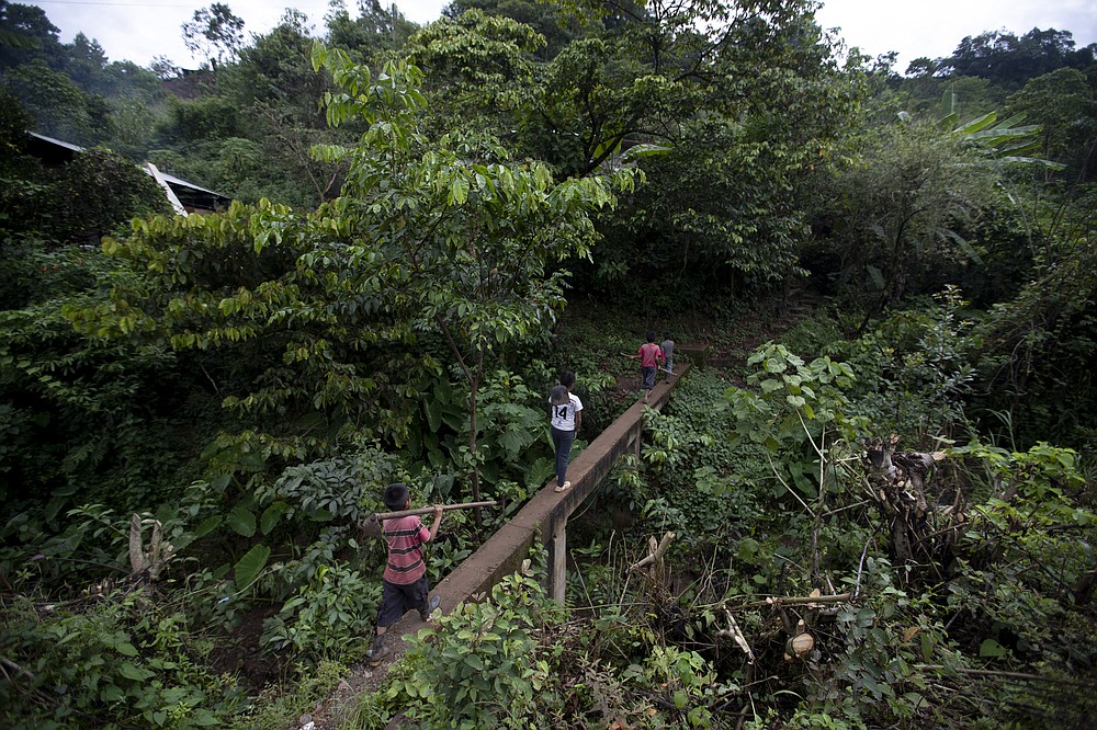 Juan Gabriel Vazquez, center, and his brothers walk to the corn fields to work in the community of Nuevo Yibeljoj in Chiapas state, Mexico, Friday, Sept. 11, 2020. The COVID-19 pandemic that has claimed a million lives and disrupted economies around the globe is also sending children like the Vazquez's back to work throughout the developing world, threatening gains made against child labor over the past 20 years. (AP Photo/Eduardo Verdugo)