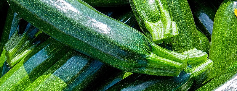 U.S. Deptartment of Agriculture
Fall is a great time to make special dishes with zucchini and other squash.