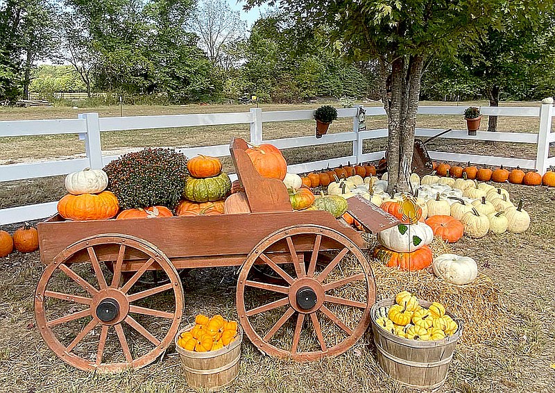 McGarrah's Pumpkin Patch