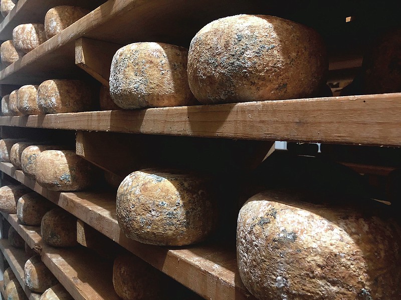 Spruce wood shelves hold wheels of Felsa Yehr, a Mancheg-style sheep's milk cheese that ages for several months in the underground cave at Goot Essa in Howard, Pa., Wednesday, Oct. 7, 2020. (Craig LaBan/The Philadelphia Inquirer via AP)