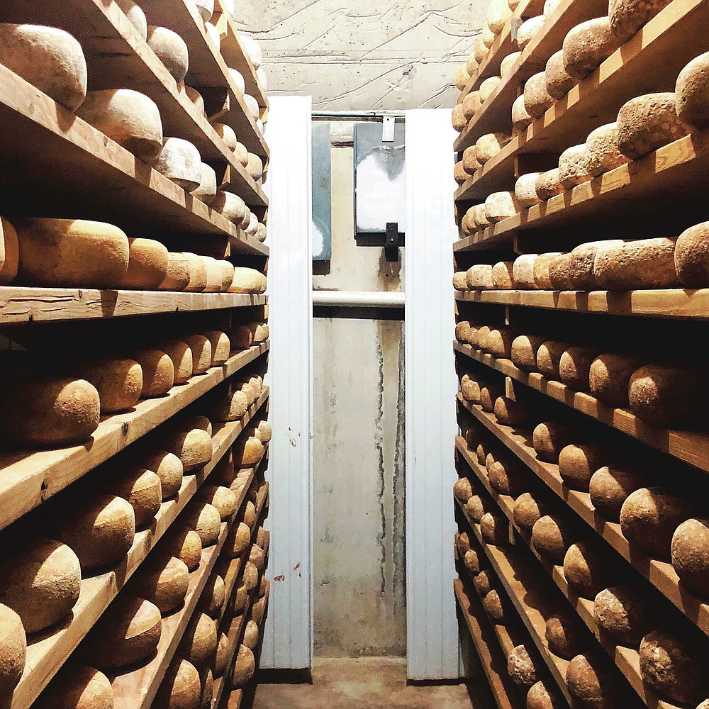 The spruce wood shelves are stocked with wheels of Butta Schaf Kase, a Pecorino-style sheep's milk cheese made and aged in the underground cave at Goot Essa in Howard, Pa., Wednesday, Oct. 7, 2020. (Craig LaBan/The Philadelphia Inquirer via AP)