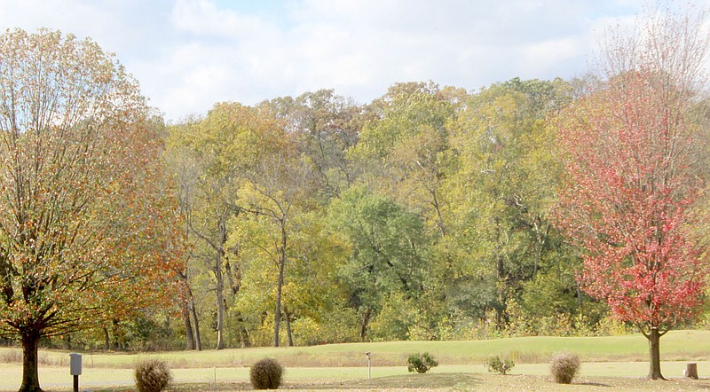 Keith Bryant/The Weekly Vista
Colorful autumn leaves overlook the Berksdale golf course. story.lead_photo.caption