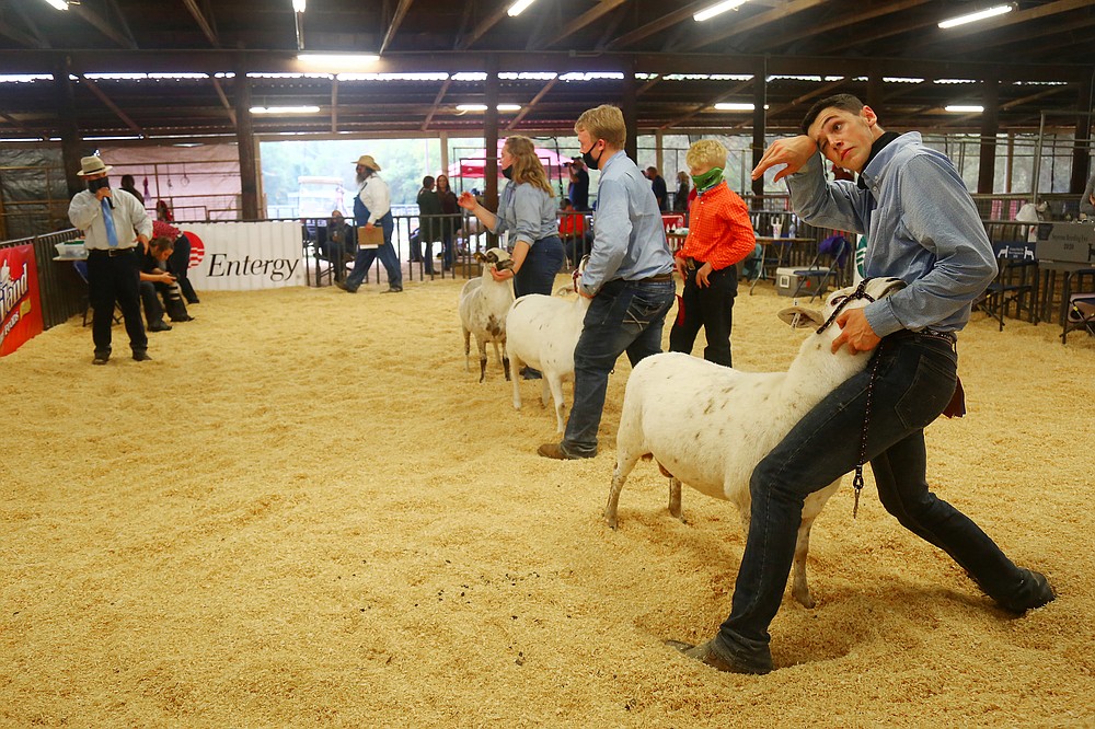 Livestock focus takes stress out of fair time
