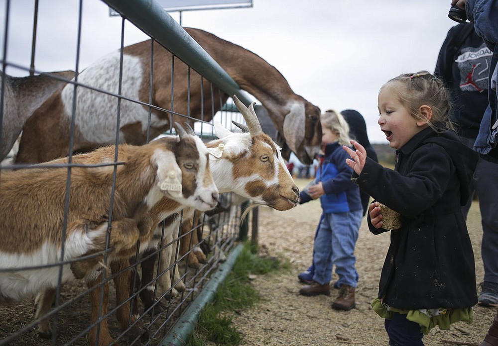 It's All About the Mask Halloween comes disguised in era of covid19