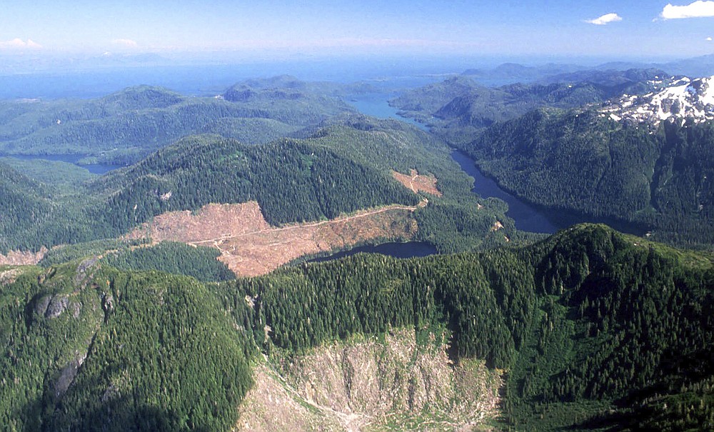 FILE - This 1990 aerial file photo, shows a section of the Tongass National Forest in Alaska that has patches of bare land where clear-cutting has occurred. The U.S. Forest Service announced plans Wednesday, Oct. 28, 2020, to lift restrictions on road building and logging in Tongass National Forest, a largely pristine rainforest in southeast Alaska that provides habitat for wolves, bears and salmon. Conservation groups vowed to fight the decision. (Hall Anderson/Ketchikan Daily News via AP, File)