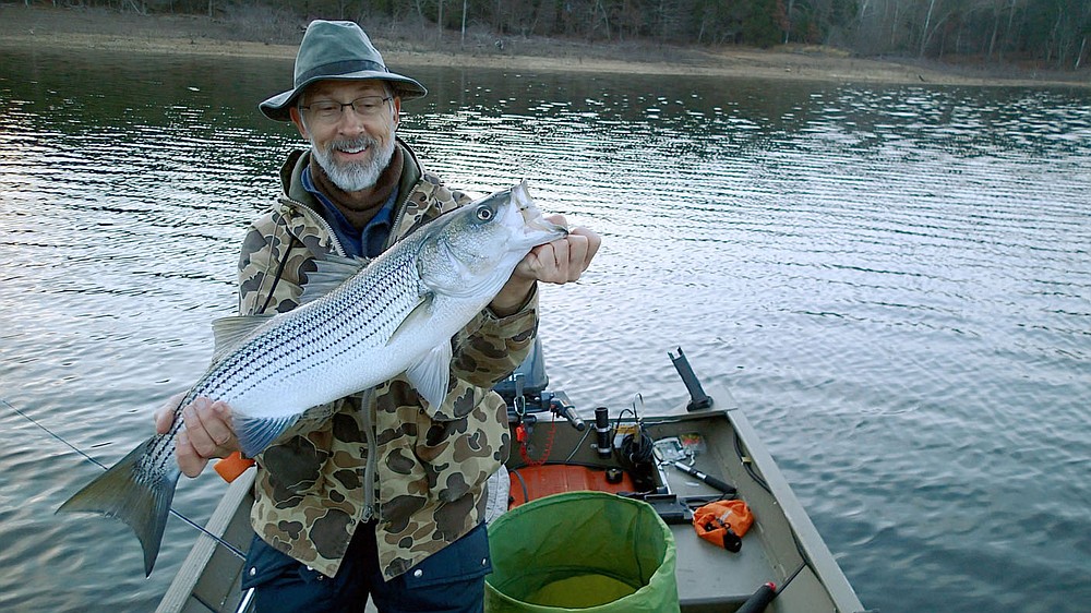 Autumn fishing for striped bass, black bass, crappie and walleye can be good at Beaver Lake. Bruce Darr shows a striped bass he caught with a fly rod while fishing in November 2017 on the lake near Rocky Branch park.
(NWA Democrat-Gazette/Flip Putthoff)