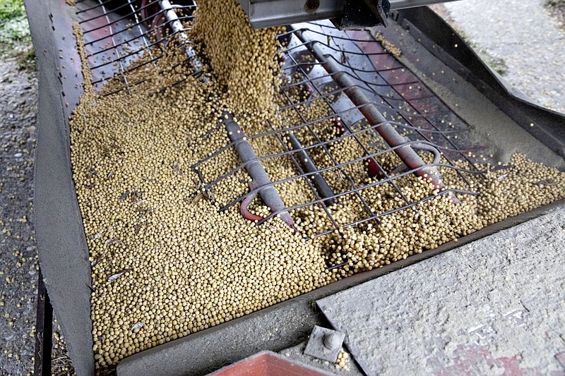 Soybeans are unloaded from a semi truck at a farm in Wyanet, Ill., on Oct. 19, 2019. MUST CREDIT: Bloomberg photo by Daniel Acker.