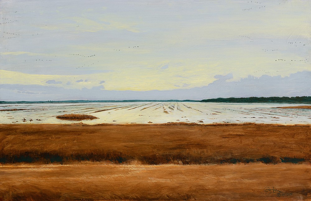 "Flooded Field" by Daniel Coston is part of the Memory in 20/20 exhibition at Cantrell Gallery. (Special to the Democrat-Gazette)