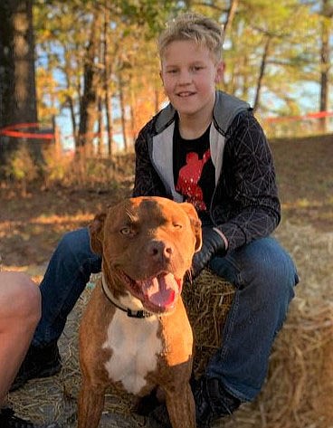 Photo Submitted  A boy and his dog at the Fall Festival.