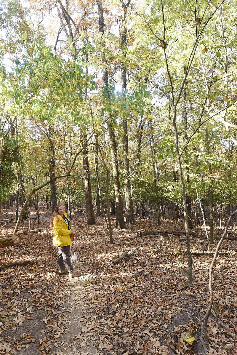 New Markham Hill trail opens in Fayetteville The Arkansas Democrat