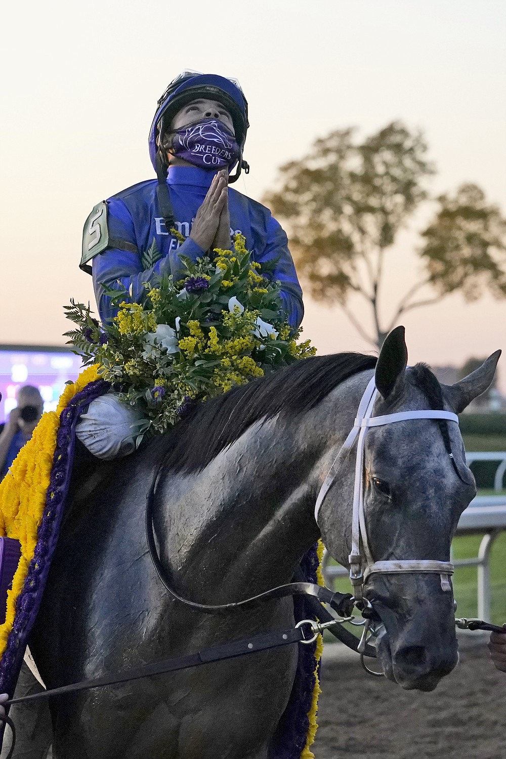 Essential Quality sets up 2021 hype