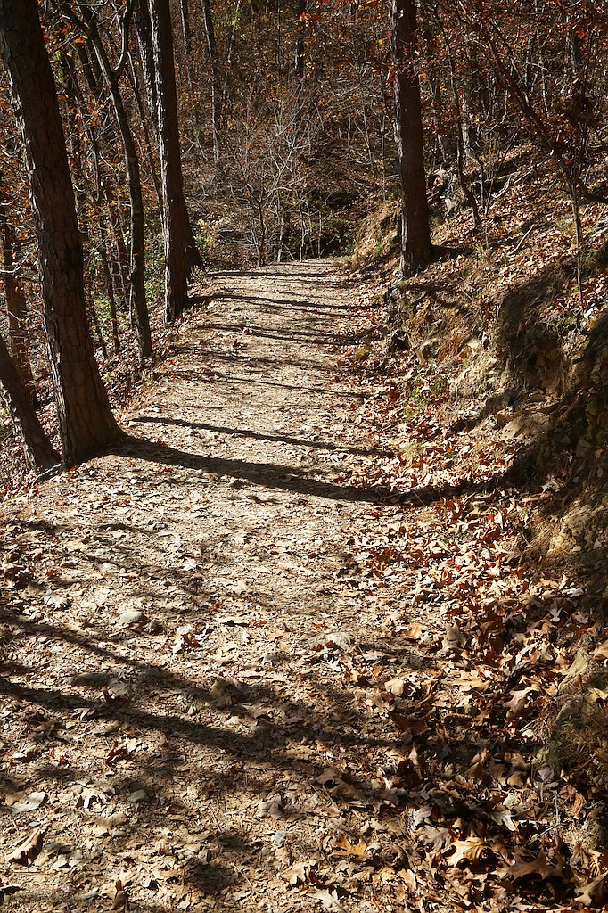 The trails at Lake Catherine State Park are a huge draw for locals and hiking enthusiasts alike. - Photo by Corbet Deary of The Sentinel-Record