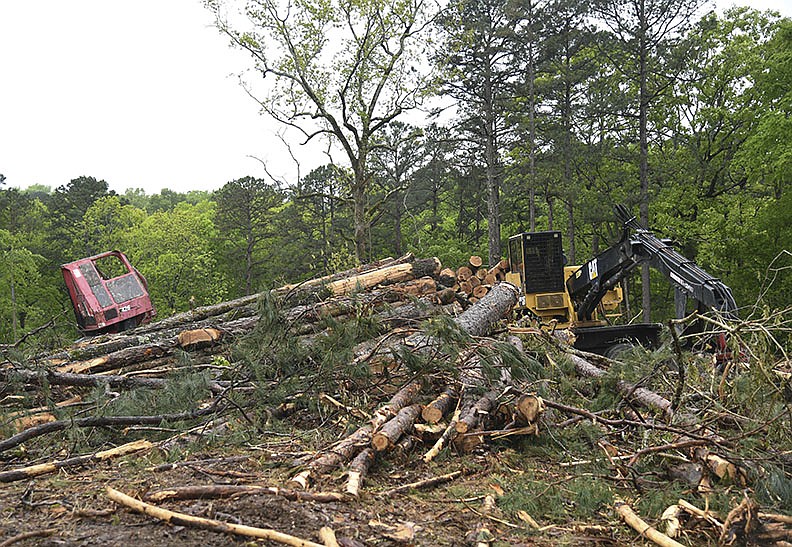 Logging equipment sits around some pine trees in the Plum Hollow Boulevard area of Diamondhead on April 19.- Photo by Grace Brown of The Sentinel-Record