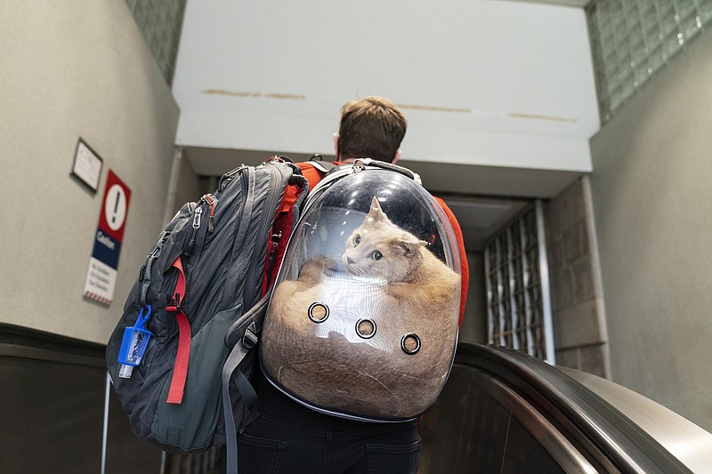 Sam Hinthron carries his cat, Giro, in a backpack while looking to board a commuter train to Boston, Friday, Nov. 20, 2020, in Providence, R.I. With the coronavirus surging out of control, the nation's top public health agency pleaded with Americans not to travel for Thanksgiving and not to spend the holiday with people from outside their household. (AP Photo/David Goldman)