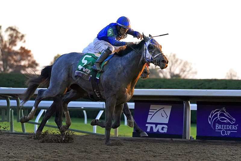 Jockey Luis Saez rides Essential Quality to win the Breeders' Cup Juvenile on Nov. 6 at Keeneland Race Course in Lexington, Ky. - Photo by Michael Conroy of The Associated Press