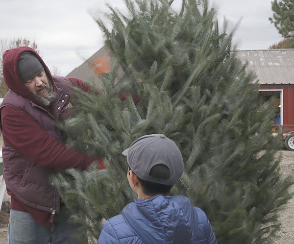 Christmas tree farm continues to delight