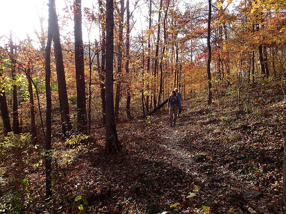 Trail Follows Water: Clear Ozark Stream The Centerpiece Of Hike