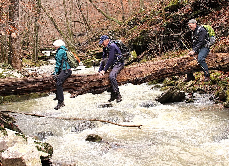 Norma Senyard, Terry Fredrick and Dan Griesse do some bootie scooting across a conveniently dropped tree during a hike into Eldridge Hollow in the Ozark Mountains. (Special to the Democrat-Gazette/Bob Robinson)