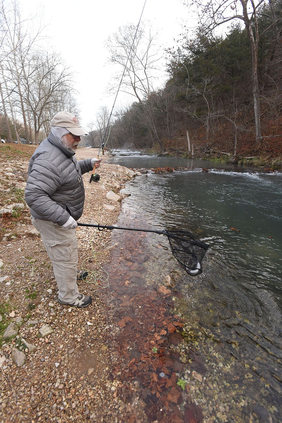 Rick Brown of Colwich, Kan., near Wichita, brings a rainbow trout to his net on Nov. 13 2020 at Roaring River State Park. He and friends from the Flatland Fly Fishers club have come to opening day of catch and release season for nine years.
(NWA Democrat-Gazette/Flip Putthoff)