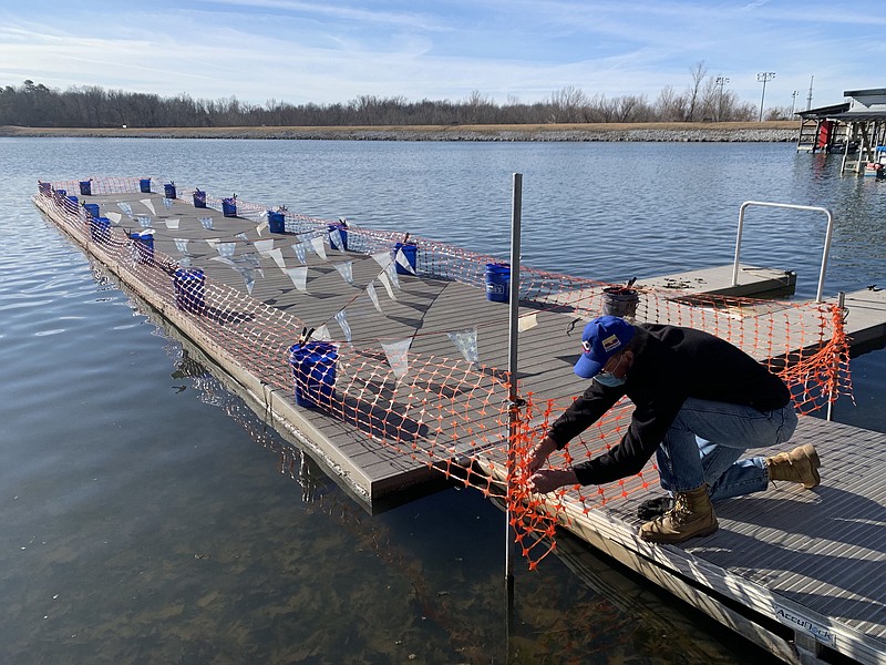 Jim Dehner, a member of the Rowing Club of Northwest Arkansas, secures construction fencing Tuesday to the perimeter of the rowing dock at Lake Fayetteville. Both Lake Fayetteville and Lake Sequoyah close for a break starting today through Jan. 14 each year to give lake staff a vacation and park staff a chance to perform needed repairs and maintenance.
(NWA Democrat-Gazette/Andy Shupe)