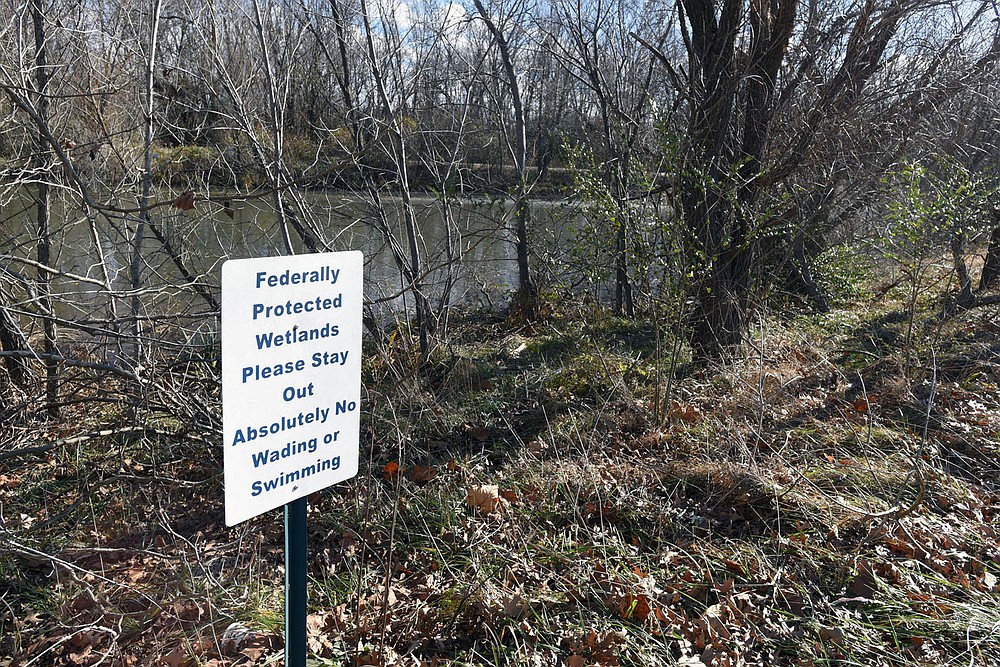 Wetlands, such as this area near Northwest Medical Center in Bentonville, are protected by the Clean Water Act.
(NWA Democrat-Gazette/Flip Putthoff)