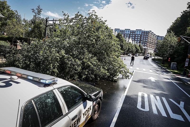 Police officers direct traffic around a fallen tree brought down by heavy rains and wind, Tuesday, Aug. 4, 2020, in West New York, N.J. Tropical Storm Isaias spawned tornadoes and dumped rain during an inland march up the U.S. East Coast, including New Jersey, on Tuesday after making landfall as a hurricane along the North Carolina coast. (AP Photo/John Minchillo)