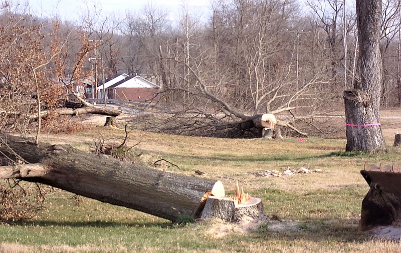 SUBMITTED
Tree felling began last week to make way for a Dollar General Store at the intersection of Arkansas Highway 59 and Patterson Street in Sulphur Springs. The company plans to have the new store built and open in Sulphur Springs by Spring 2021.