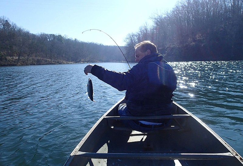 Alan Bland of Rogers catches a rainbow trout on Dec. 4 2020 at Lake Atalanta in Rogers. Arkansas Game and Fish Commission stocks rainbow trout for winter fishing at several lakes and ponds across the state. Bland caught this fish on a small jig.
(NWA Democrat-Gazette/Flip Putthoff)