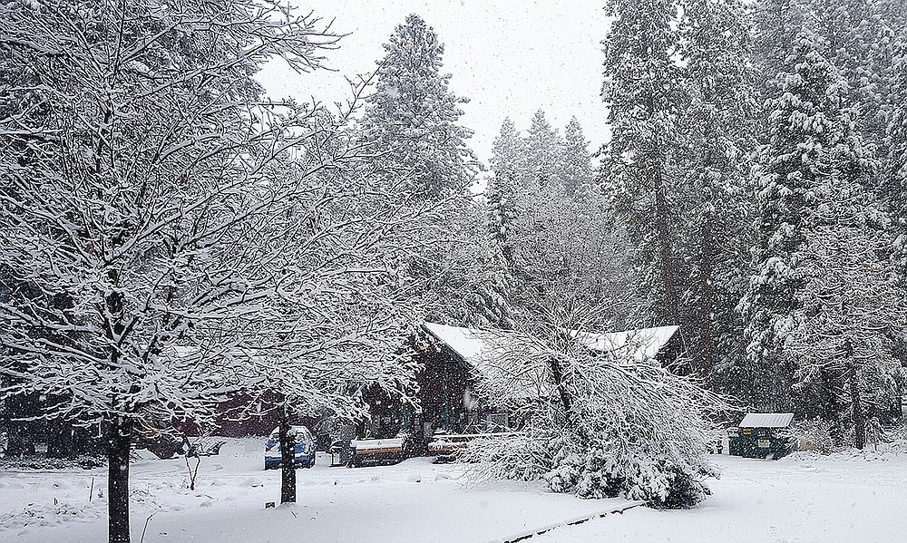 The Cascade Shores General Store is shrouded in a blanket of white snow after the storm system moved through Nevada County, Friday, Jan. 22, 2021. (Liz Kellar/The Union via AP)