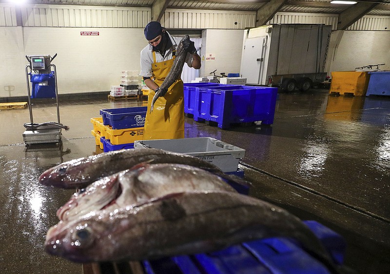 A member of staff at Midland Fish in Fleetwood prepares fish for sale at the docks in Fleetwood, Lancashire, England, Thursday, Jan. 28, 2021. The introduction of new checks and paperwork since the end of the Brexit transition period on Dec. 31 has caused huge disruption to exports of fresh fish and seafood to the EU, with producers becoming increasing frustrated at the lack of Government action. (Peter Byrne/PA via AP)