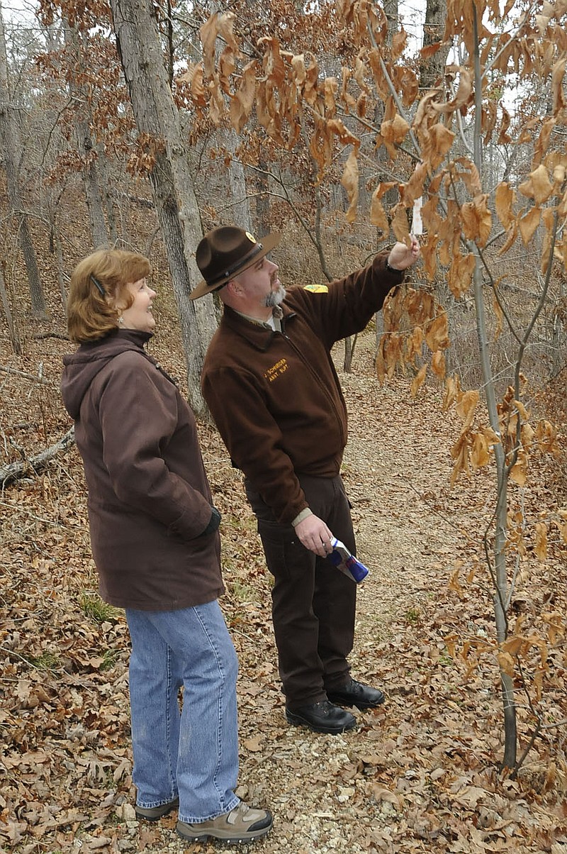 Note: Ohlhausen is correct.
STAFF PHOTO FLIP PUTTHOFF 
FIRST-DAY HIKE
Eva Ohlhausen, left, and Jay Schneider look at an Ozark chinquapin tree during a New Year's Day hike on Thursday Jan. 1 2015 on the Sinking Stream Trail at Hobbs State Park-Conservation Area east of Rogers. Schneider, assistant superintendent at Hobbs, identified various plants and showed how prescribed burns at the park improve the health of the forest. Hobbs and Devil's Den State Park near Winslow were among the Arkansas state parks that hosted guided hikes on New Year's Day.