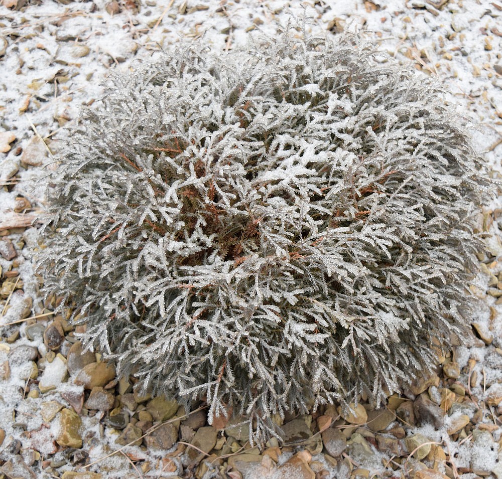 Area gets double whammy from winter storms