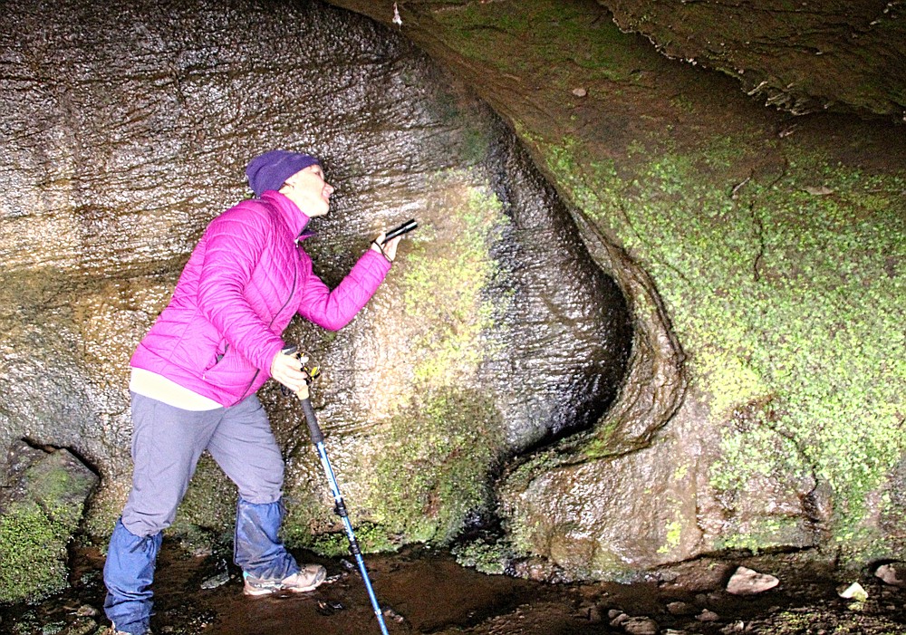Dalene Ketcher looks for the source of water sheeting down the back of a cavern during a hike Feb. 6, 2021, along Home Valley Bluff -- a 3-mile, rugged limestone wall that rises in three tiers as it wraps around a mountainous ridge overlooking the drainage of Big Piney Creek in the Ozark National Forest. (Special to the Democrat-Gazette/Bob Robinson)