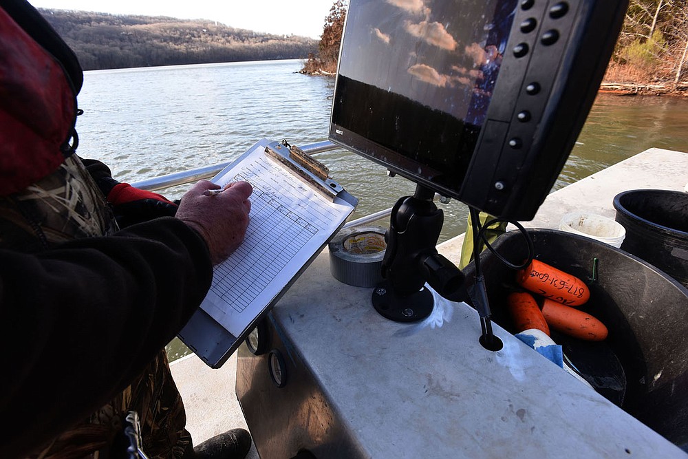 Jon Stein jots down data as fish are measured and weighed.
(NWA Democat-Gazette/Flip Putthoff)