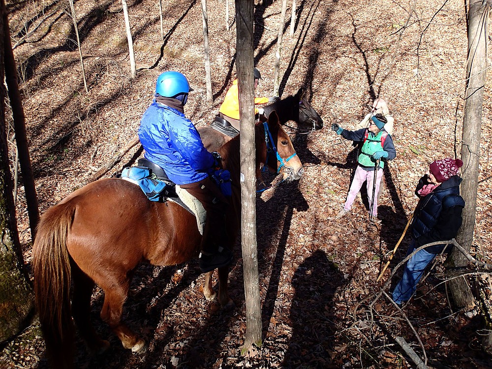 HIkers greet horseback riders along the War Eagle Valley Loop. The 6-mile trail is open for hiking, horseback riding and mountain biking.
(NWA Democrat-Gazette/Flip Putthoff)