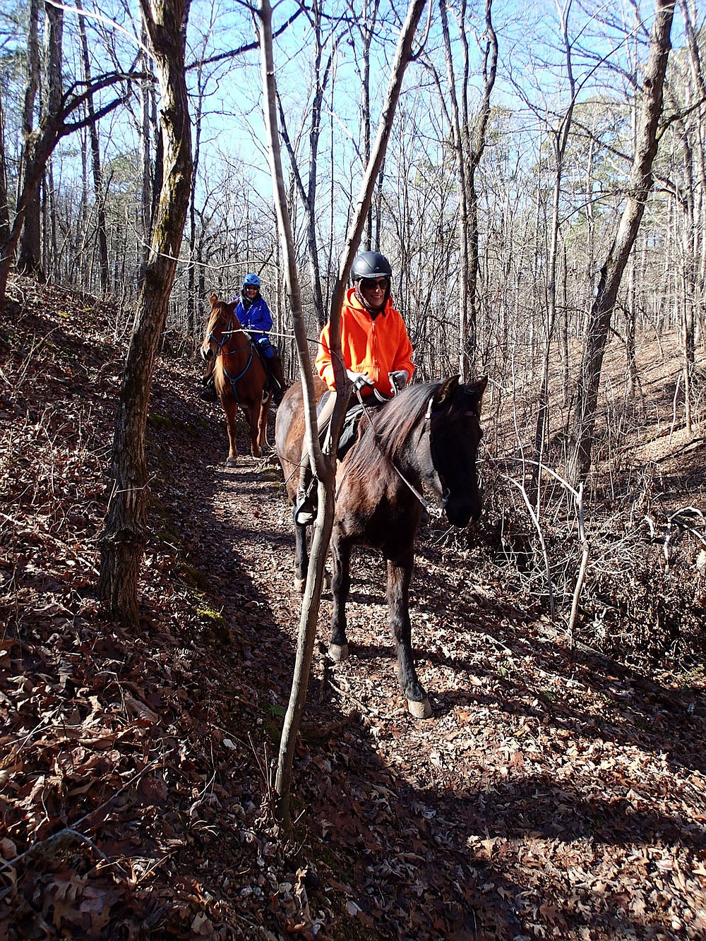 Horses and riders make their way along the War Eagle Valley Loop near the Townsend Ridge Road trailhead.
(NWA Democrat-Gazette/Flip Putthoff)