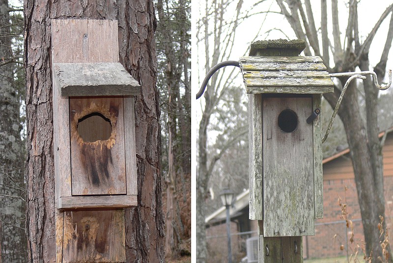Bluebirds were found dead in the nesting box on the right, whose opening was enlarged by earlier residents; the box on the left has the recommended size opening. (Special to the Democrat-Gazette/Jerry Butler)