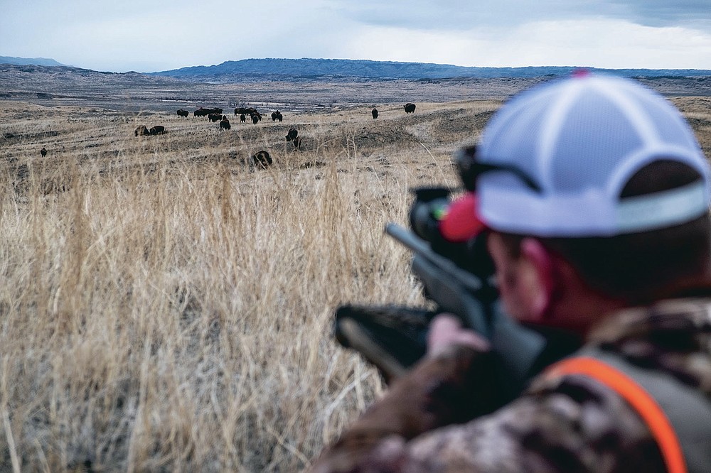 CORRECTS DATE TO JAN. 17, 2021 Brian Meyer sights his rifle in on a herd of bison during a bison hunt on the American Prairie Reserve in northeastern Montana on Jan. 17, 2021. A love of hunting propelled the 39-year-old Meyer to the remote prairie of Eastern Montana. Wounded Warriors Outdoors arranged for Meyer to participate in a donated bison harvest on land owned by American Prairie Reserve. (Thom Bridge/Independent Record via AP)