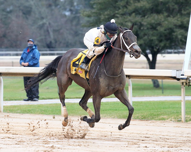 Will's Secret, under jockey Jon Court, races to win the 43rd running of the Martha Washington Stakes at Oaklawn Park on Jan. 30. - Photo courtesy of Oaklawn/Robert Yates