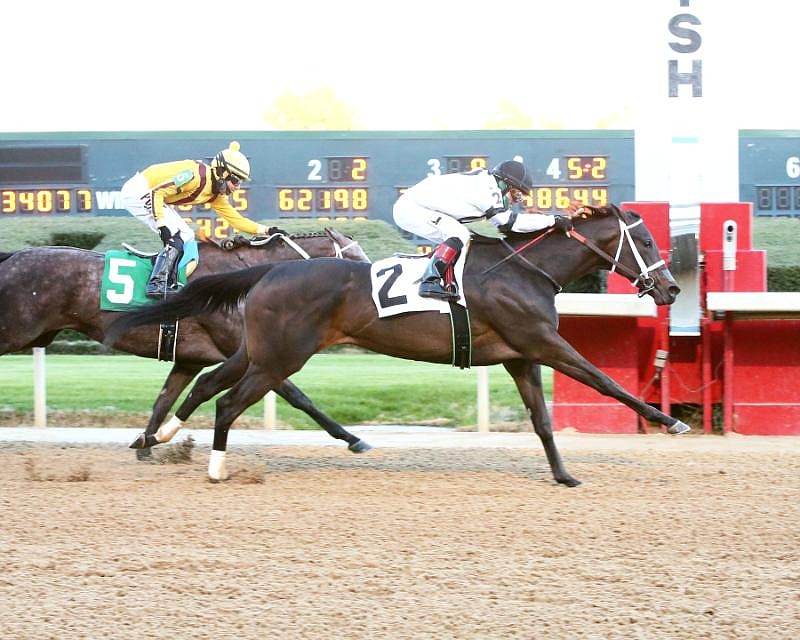 Will's Secret (2), under jockey Jon Court, crosses the wire ahead of Pauline's Pearl (5), ridden by Francisco Arrieta, for a 3/4 length win of the Grade 3 $300,000 Honeybee Stakes at Oaklawn Saturday, March 6. - Photo courtesy of Oaklawn/Robert Yates