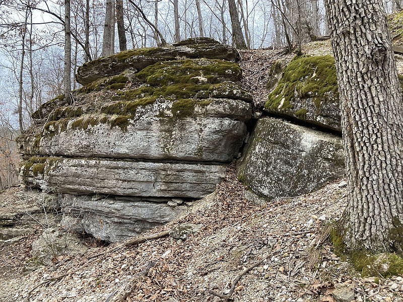 Winter may be the best season to view bluffs and bluff shelters along the Shaddox Hollow Trail before spring green-up.
(NWA Democrat-Gazette/Flip Putthoff)