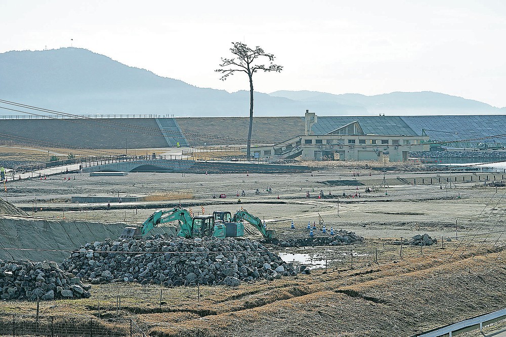 A replica of a lone pine tree that initially survived the 2011 tsunami that flattened the surrounding coastal forest, stands in Rikuzentakata, Iwate Prefecture, northern Japan Thursday, March 4, 2021. The tree, which eventually died of seawater exposure, was known as the "Miracle Pine," and townspeople treated, reinforced and then preserved it as a memorial and symbol of hope for the region. (AP Photo/Eugene Hoshiko)
