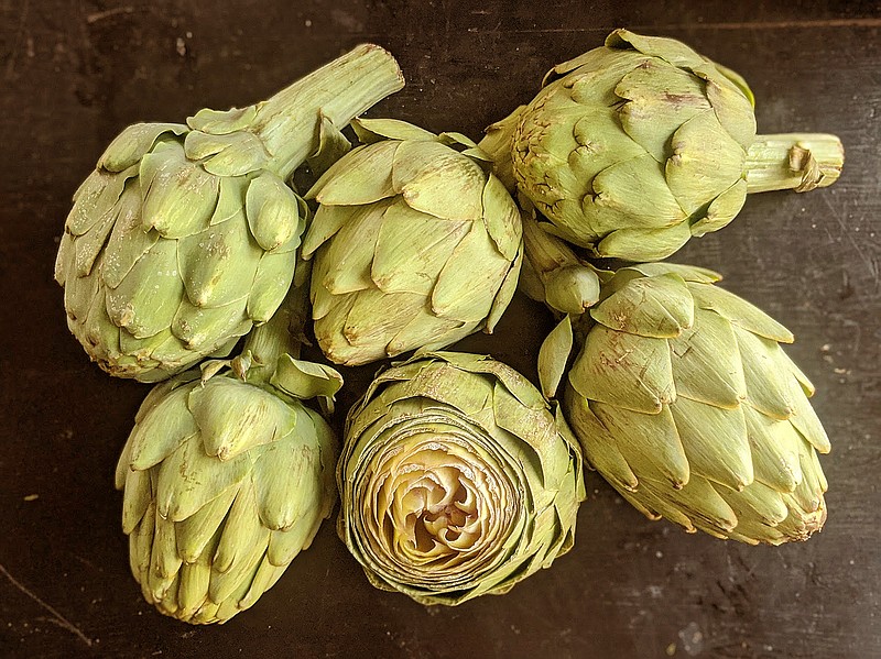 Artichokes are in season now and can be boiled, steamed, fried or stuffed, and baked. (TNS/Post-Gazette/Gretchen McKay)