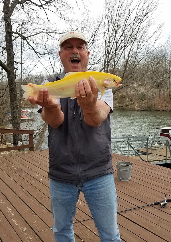 Landing two golden rainbow trout a thrill The Arkansas Democrat
